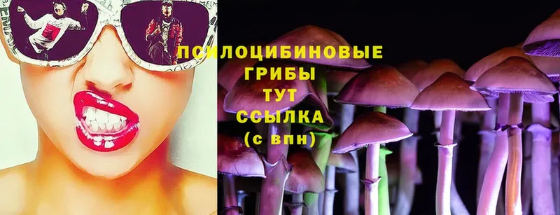 Галлюциногенные грибы Magic Shrooms  где продают   нарко площадка какой сайт  Ковров 